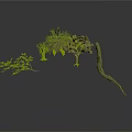 Different Plants with Leafy Branches Small Shrubs Fruits and Curved Branch on White Background