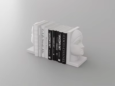 Decorative Head Shaped Shelf With Arranged Various Books And Magazines 3d model