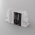 Decorative Head Shaped Shelf With Arranged Various Books And Magazines