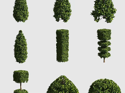 Various Shaped Trimmed Shrub Topiary Designs For Garden Landscaping And Decoration 3d model