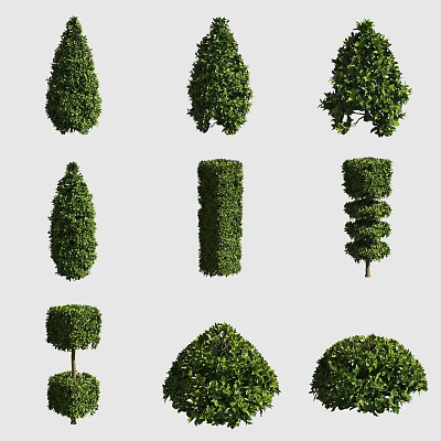 Various Shaped Trimmed Shrub Topiary Designs For Garden Landscaping And Decoration 3d model