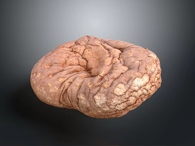 Mushroom Shaped Stone and Wood Decoration With Textured Surface and Natural Tones 3d model