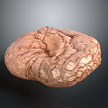 Mushroom Shaped Stone and Wood Decoration With Textured Surface and Natural Tones