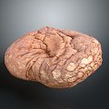 Stone Rock Stone Stone Appreciation Stone Strange Stone Ore Realistic 3d model