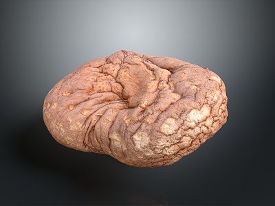 Stone Rock Stone Appreciation Stone Strange Stone Ore Realistic 3d model