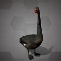 Modern Swan Black Swan 3d model