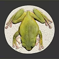 Frog Poison Frog Game Frog Reptile Cold Blooded Animal Reptile 3d model