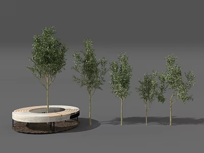 Trees of Various Sizes with Central Circular White Structure in Garden Landscape 3d model