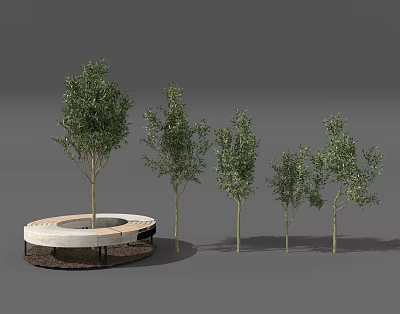 Trees of Various Sizes with Central Circular White Structure in Garden Landscape 3d model