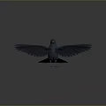 Black bird standing with spread wings against gray background setting 3d model