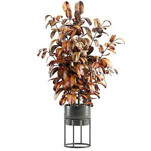 modern potted plant 3d model