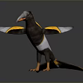 Colorful Flying Bird with Black Yellow White Feathers Long Beak and Orange Feet