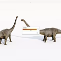 Realistic Brown Reptile Models With Long Necks And Detailed Skin On White Background