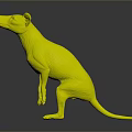 Tasmanian Tiger 3D Model in Standing Pose with Detailed Features and Gray Gradient Background