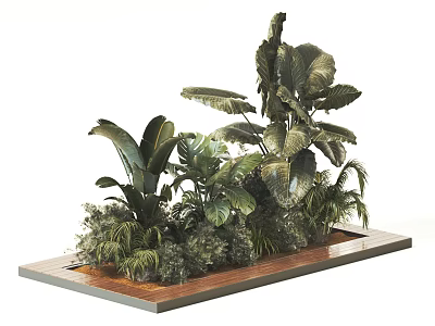 Lush Green Plants With Large Leaves Arranged On Wooden Platform 3d model