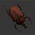 Red Beetle with Large Body Horns and Red Legs on Gray Background with Reflection