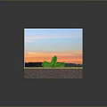 Green Tree Growing in Grass and Soil Layers Against Sunset Sky Background