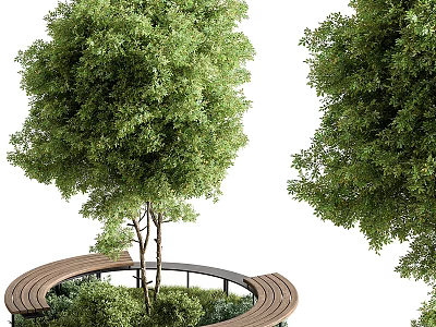 Lush Green Trees with Circular Wooden Bench and Surrounding Lush Greenery 3d model