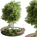 Lush Green Trees with Circular Wooden Bench and Surrounding Lush Greenery