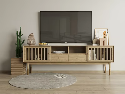 Wooden TV Stand With Drawers Open Shelves Flat screen TV Cactus Plant And Round Gray Rug 3d model