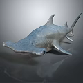 Realistic Detailed Hammerhead Shark 3D Model with Lifelike Features on Smooth Surface