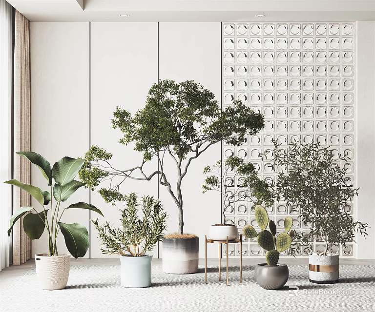 Bonsai Plants Indoor Decor Collection With Lush Greenery Diverse Foliage And Stylish Pots 3d model 
