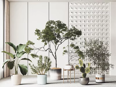 Bonsai Plants Indoor Decor Collection With Lush Greenery Diverse Foliage And Stylish Pots 3d model