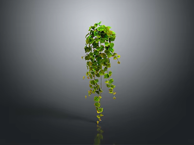 Lush Green Hanging Plant With Trailing Vines And Fresh Lush Leaves 3d model