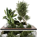 Lush Natural Tree Planter With Various Trees Green Plants Decorative Stones And Wooden Base