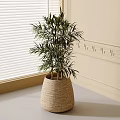 Potted Bonsai Plant with Lush Green Leaves in Woven Basket Pot on Window Sill