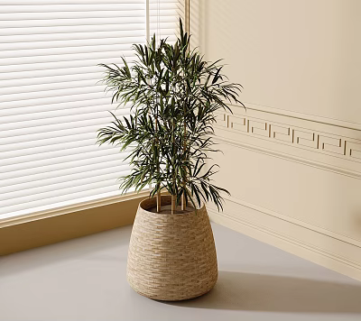 Potted Bonsai Plant with Lush Green Leaves in Woven Basket Pot on Window Sill 3d model