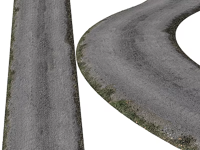 Garden Decorative Features Along Curved Gray Road With Grass Edges And Pathway 3d model