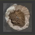 Pile Of Brown Powder With Granular Texture And Small Tool On Top