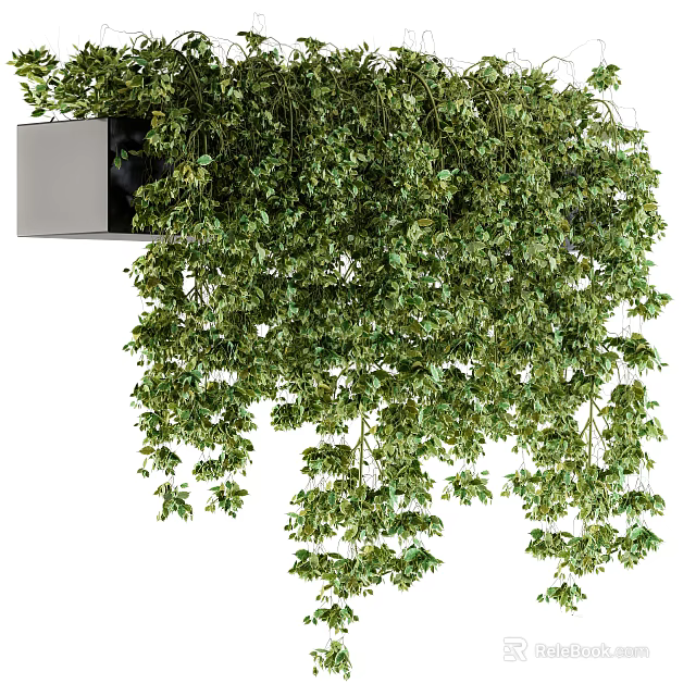 Indoor Hanging Potted Plant With Lush Green Leaves And Trailing Branches 3d model 