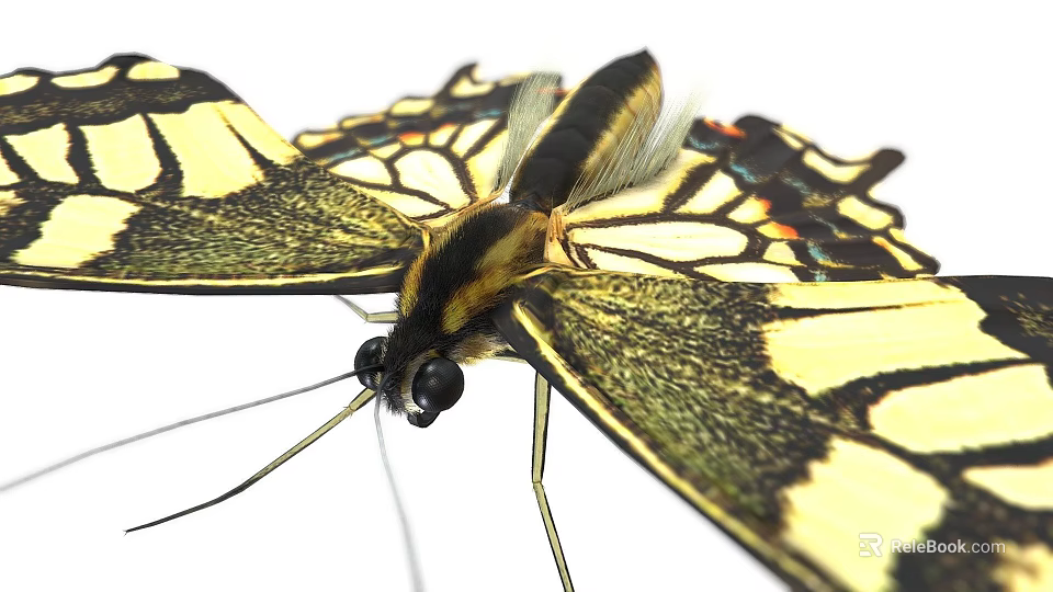 Vibrant Yellow And Black Butterfly With Detailed Wing Patterns And Antennae 3d model 