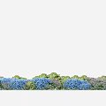 Vibrant Garden Scene With Blue Flowers And Lush Green Grass Plants