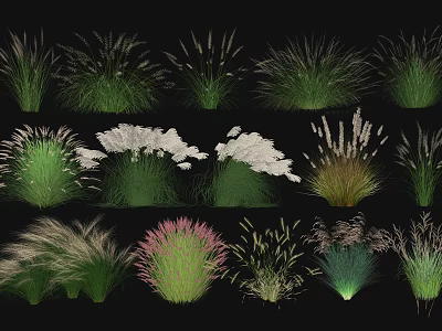 Various Green White Pink Flowering Grasses With Diverse Shapes And Vibrant Colors 3d model