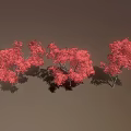 Three Red Leaf Trees Standing On Brown Ground With Gray Background 3d model