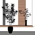 Bonsai Potted Plant With Green Leaves On Wooden Shelf And Wooden Louver Background