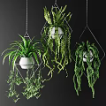 Decorative Hanging Plant Ornament Set With Geometric Metal Frames And White Pots
