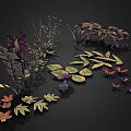 Various Plant Leaves Flowers And Small Fruits Illustration On Black Background
