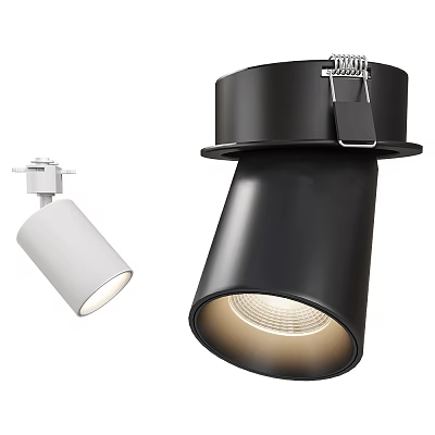 Modern Black and White Adjustable Downlights and Spotlights Home Lighting Fixtures Design 3d model