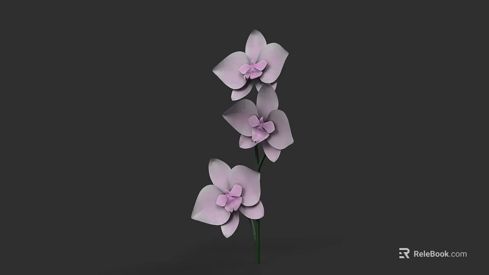 Beautiful Purple Orchids With Three Flowers And Green Stem On Dark Background 3d model 