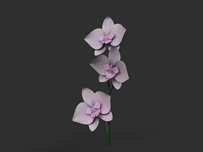 Beautiful Purple Orchids With Three Flowers And Green Stem On Dark Background 3d model