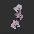 Beautiful Purple Orchids With Three Flowers And Green Stem On Dark Background
