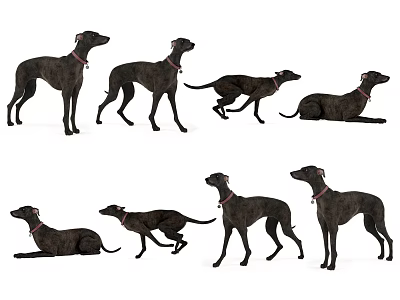 Black Reptiles With Collars In Various Poses On White Background 3d model