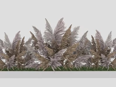 Feathery Gray And Brown Plants Neatly Arranged For Garden Decor 3d model