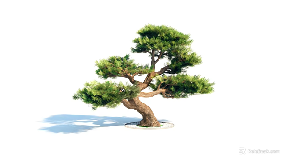 Lush Green Arbor Tree With Curved Trunk And White Base Shadows 3d model