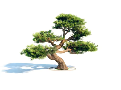 Lush Green Arbor Tree With Curved Trunk And White Base Shadows 3d model