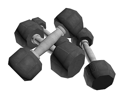 Black Dumbbells Workout Equipment Set for Home Gym Training 3d model